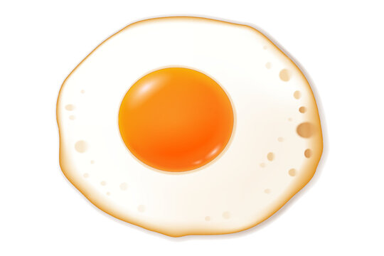 Close-up a fried egg. Top-down view of a fried egg. 