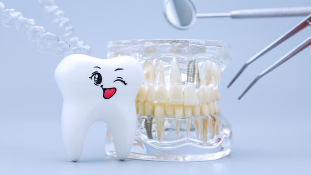 Cute smiling tooth mascot with a transparent implant jaw model and levitating dental tools.