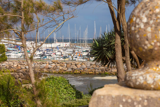 Marina with Sailing Yachts Viewed Through Coastal Trees in Cascais, Portugal