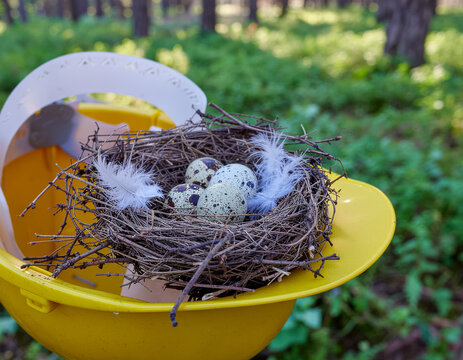 conceptual image of a weathered construction helmet sheltering a bird nest with eggs