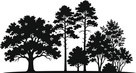 Black silhouette of a forest landscape with various deciduous and coniferous trees © MstShapla