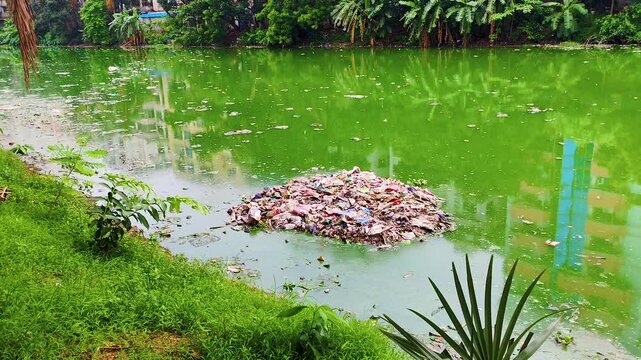 Piles of dirty garbage float in the gulshan lake water, with lush green nature and city apartment buildings in the background.