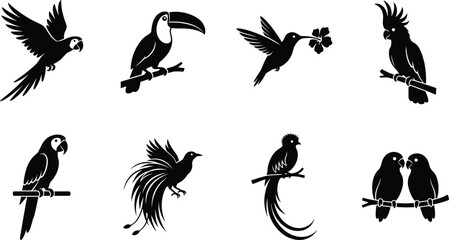 Set of tropical bird silhouettes including parrots, toucan, and hummingbird icons for creative design projects © MstSabina