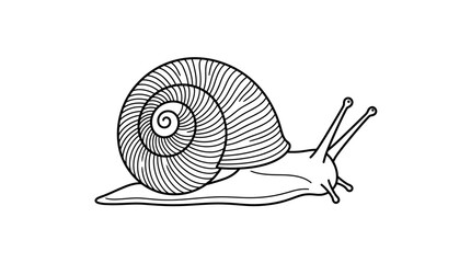 Garden snail with spiral shell line art. © Tinidiyana