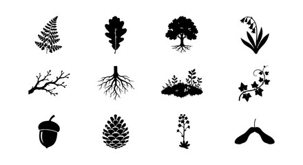 Obraz premium Forest Elements Vector Icons, Nature Icons, Botanical Illustrations, Woodland Graphics Set