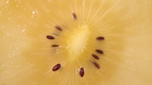 Fresh Yellow Kiwifruit in Wooden Bowl