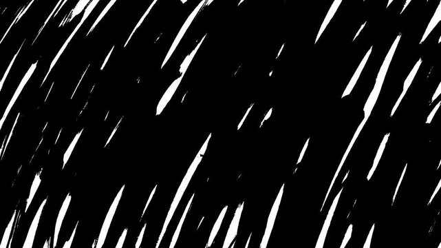 Hand Drawn Black and White Artistic Scribble Sketch Hatching Lines Motion Graphics Style Animation Video 4K