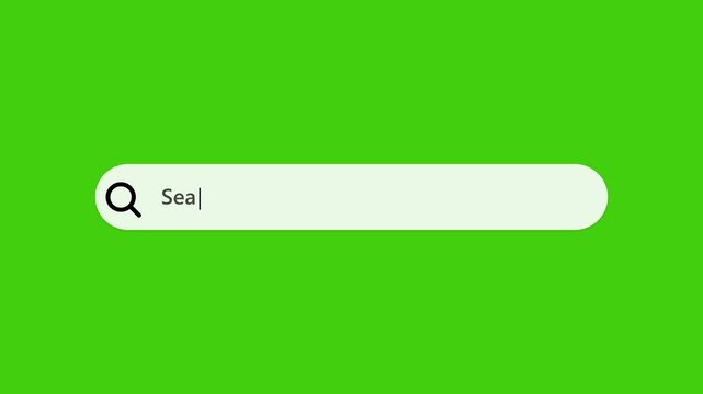Green Screen Animated Search Bar Typings Effect Template.