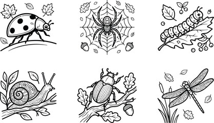 Insect and garden wildlife set vector illustration with spider beetle and snail isolated flat design. © Shahria Emon