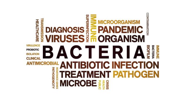 Bacteria animated word cloud-text design animation tag kinetic typography seamless loop.