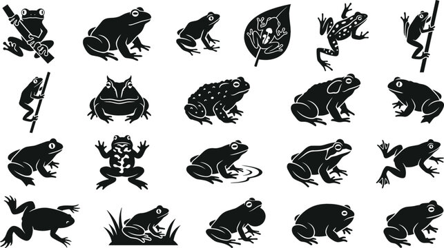 Frog and Toad Amphibian Black Silhouette Icon Set Featuring Tree Frog Bullfrog and Toad Symbols for Wildlife Graphic Designs