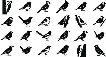Small Songbird and Wild Bird Black Silhouette Icon Set Featuring Woodpecker Robin Sparrow Blue Jay and Cardinal Symbols for Nature Designs © Feroz