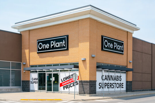 Hamilton, ON, Canada - Jun 29, 2026: Exterior view of One Plant store located in Winona Crossing Plaza, a Canadian cannabis retail superstore with over 50 locations across Ontario