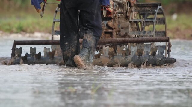 Tractor Tilling Muddy Field: A rugged tractor churns through a muddy field, its wheels deep in the water and soil, preparing the land for cultivation 
