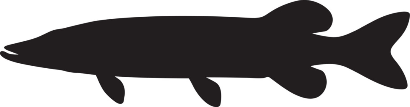 Minimalist northern pike predatory freshwater fish black silhouette vector icon for fishing club logos