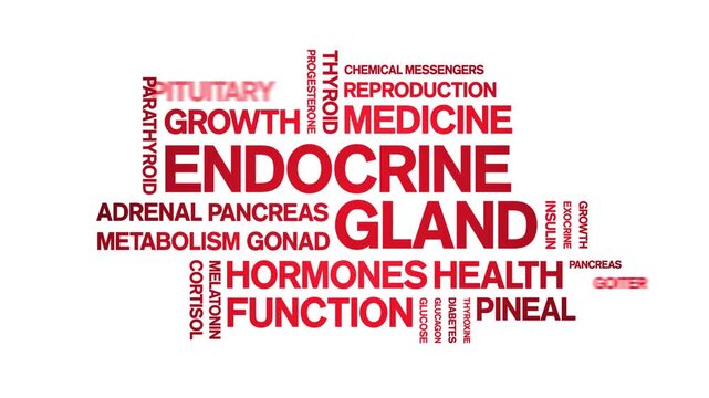 Endocrine Gland animated word cloud-animation tag kinetic typography seamless loop.