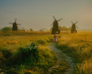 Naklejka premium Path through the golden field