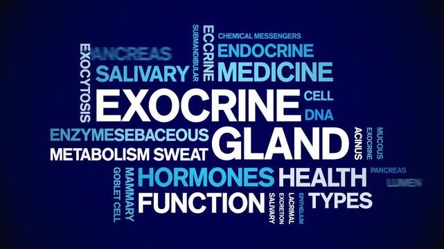 Exocrine Gland animated word cloud-animation tag kinetic typography seamless loop.