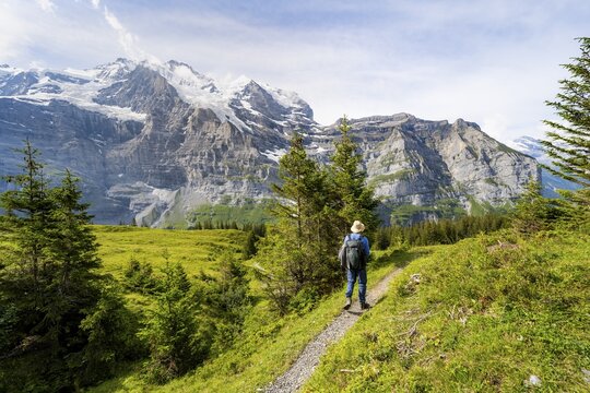 Hikers on a hiking trail on Mettlenalp, mountain panorama with peaks Eiger, M&ouml;nch and Jungfrau, Bernese Alps, Bernese Oberland, Switzerland