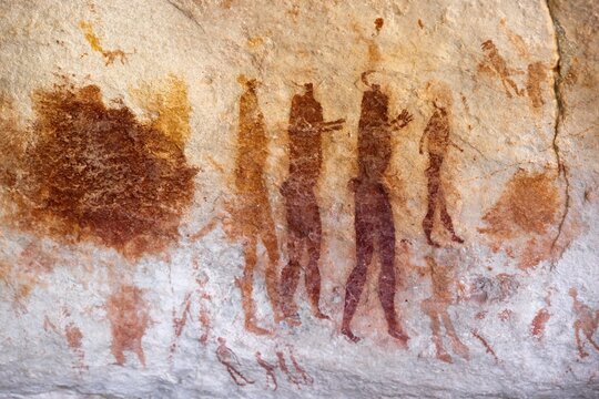 Prehistoric animal depictions, ancient rock carving of the San, indigenous people of South Africa, Seville Rock Art Trail, Cedar Mountains, Clanwilliam, Western Cape, Republic of South Africa