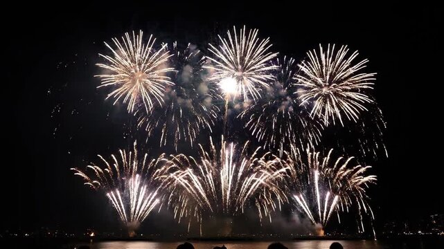 Brilliant fireworks at night, brilliant and colorful fireworks