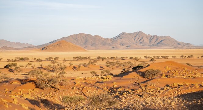 Sand dunes, landscape in the NamibRand nature reserve, in the background Naukluft Mountains, Namib Desert, Namibia
