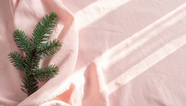 Pine branch on pink fabric with soft sunlight and shadow creating serene minimal composition