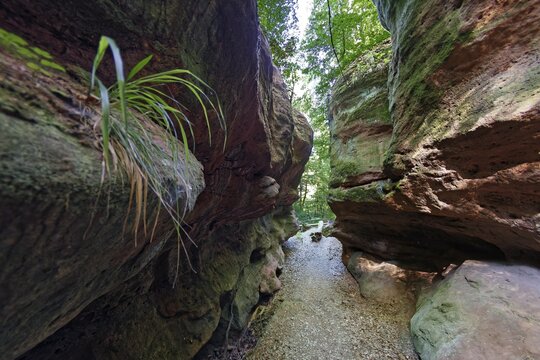 Rock formation, gorge, Schnittlinger Loch, natural monument, geotope 576R002, sandstone, half-cave, rock falls, near Schnittlingen, Spalter H&uuml;gelland, Roth district, Middle Franconia, Bavaria, Germany