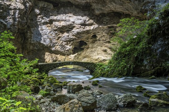 Old bridge, Rak river, Rakov Skocjan, Notranjska region, Slovenia