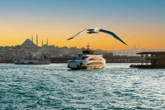 Istanbul, Turkey: May 18, 2026: Seagull flying over Golden Horn with passenger ferry and S&uuml;leymaniye Mosque at sunset