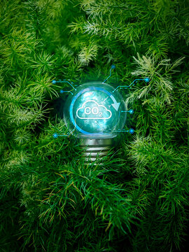 Light bulb with CO2 reduction icon surrounded by green foliage. Carbon reduction technology, net zero strategy, carbon neutrality, climate technology, ESG reporting, and environmental sustainability.