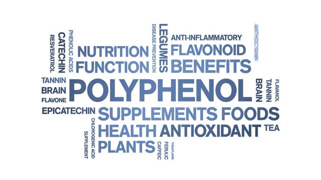 Polyphenol animated word cloud-animation tag kinetic typography seamless loop.