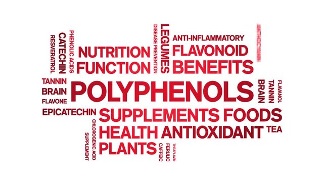 Polyphenols animated word cloud-animation tag kinetic typography seamless loop.