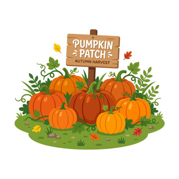 Pumpkin patch sign stands prominently in a field of orange gourds to celebrate the autumn harvest season.