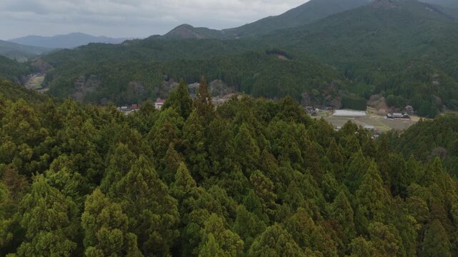 Treetops of green forest and small farming village in rural valley