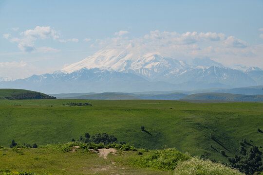 Alpine grassland zone in the Elbrus foothills. Areas of the Gumbashi Pass. Karachay-Cherkessia, Russia