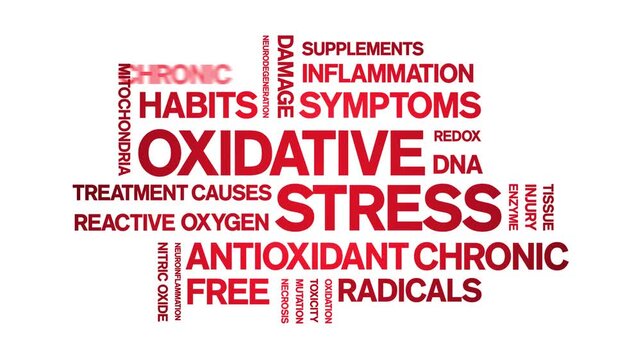 Oxidative Stress animated word cloud-animation tag kinetic typography seamless loop.