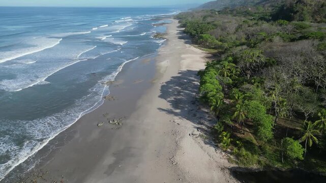 Aerial drone shot flying north over Santa Teresa beach in Costa Rica, capturing tiny figures of people walking along the wide sandy shoreline, rolling ocean surf, and lush coastal jungle.