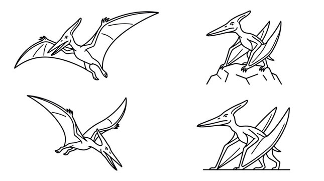 Pterodactyl dinosaur coloring page set.