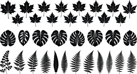Comprehensive Leaves Silhouette Vector Set Featuring Autumn Maple Tropical Monstera and Diverse Forest Fern Fronds for Nature Patterns and Eco Background Designs © Joy