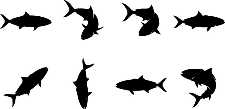Shark Silhouette Collection Featuring Streamlined Marine Predators in Dynamic Swimming Poses