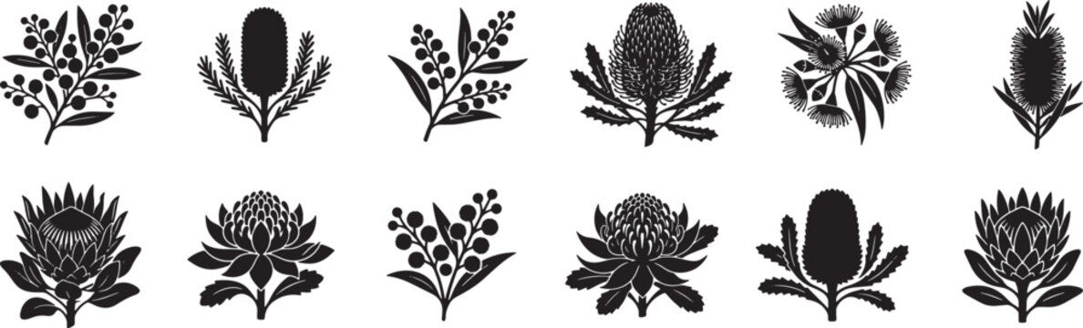 Australian Flora Icons Set, Native Botanical Silhouettes, Banksia and Protea Vector Graphics, Floral Decorative Elements for Design