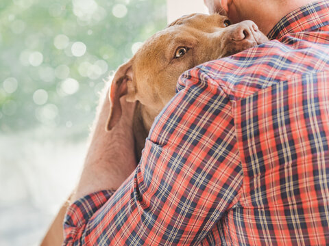 Brown Pit bull resting head on male owner's shoulder near a window. Pet friendship, trust, and companionship concept. Ideal for emotional support, adoption, and pet care content. Warm, natural light