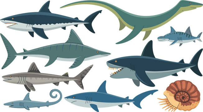 Prehistoric marine creatures set with sharks megalodon plesiosaur and ammonite shell isolated on white background vector illustration