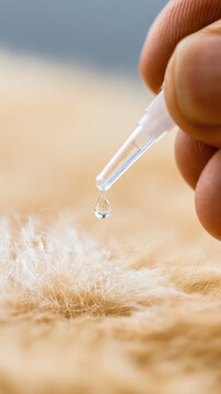 Pet flea drop pipette fur liquid macro closeup health treatment