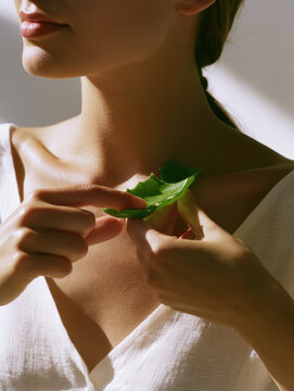 Aloe vera treatment collarbone skin care natural hands applying leaf on neck in bright sunlight with soft shadow and clean white background, calm fresh summer portrait