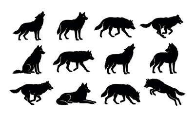Obraz premium Diverse set of wolf silhouettes in howling running and sitting positions vector