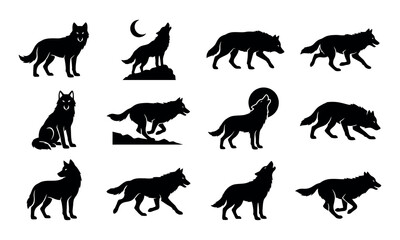 Obraz premium Twelve black wolf silhouettes showing various natural behaviors for graphic design