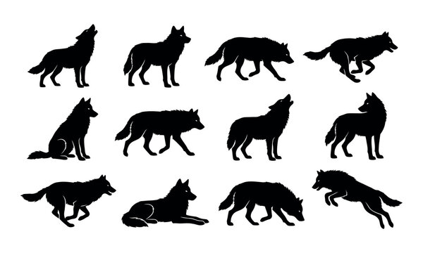 Diverse set of wolf silhouettes in howling running and sitting positions vector