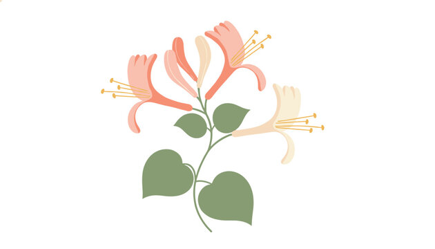 Delicate hand drawn honeysuckle flowers with light pink and pale yellow petals on a green leafy stem isolated on a pure white background.